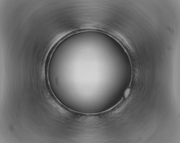 X0000110940884200906261258