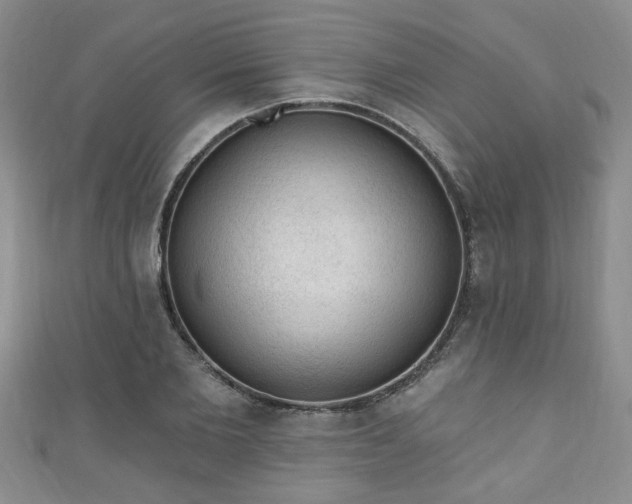 X0000110940885200906261258