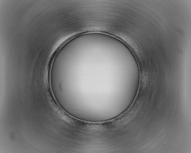 X0000110940886200906261258