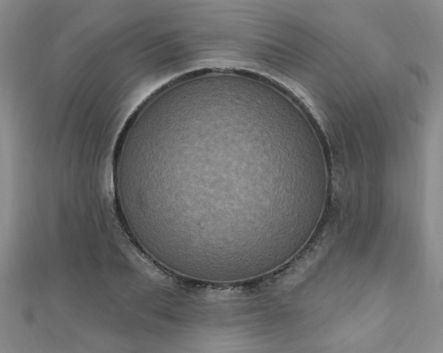 X0000110940887200906261258