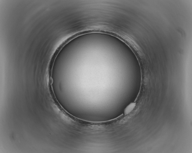 X0000110940888200906261258