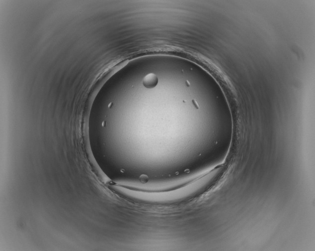 X0000110940889200906261258