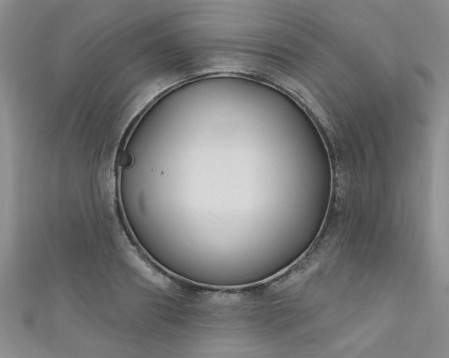 X0000110940890200906261258