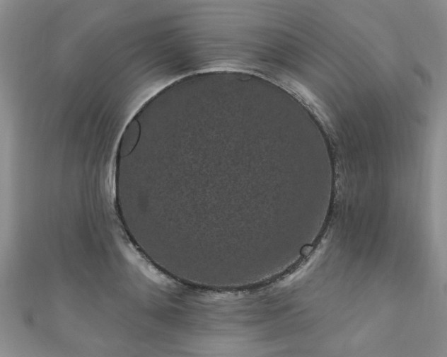 X0000110940892200906261258