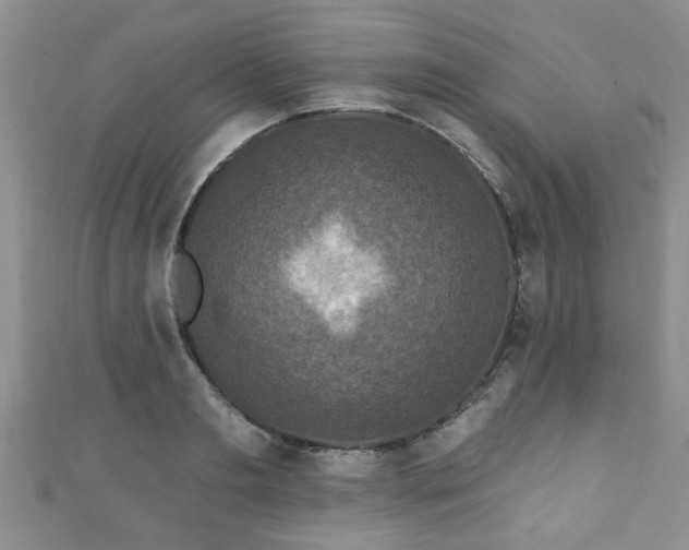 X0000110940893200906261258