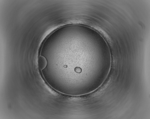 X0000110940894200906261258