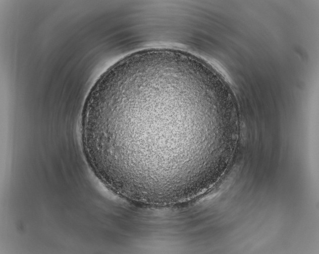 X0000110940895200906261258