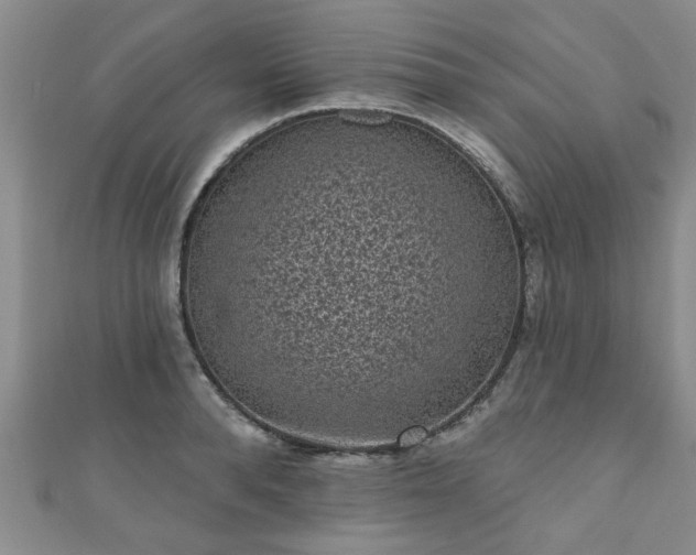 X0000110940896200906261258