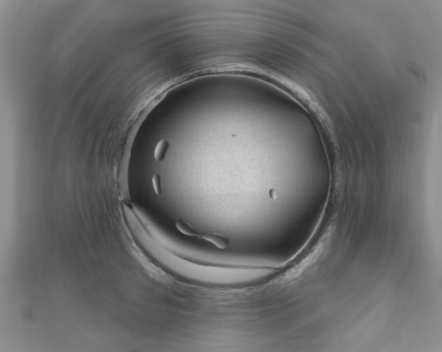 X0000110940897200906261258