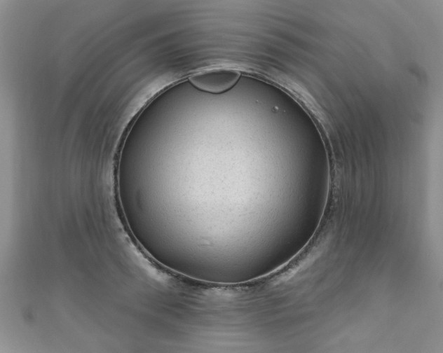 X0000110940898200906261258