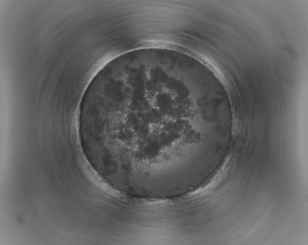 X0000110940899200906261258