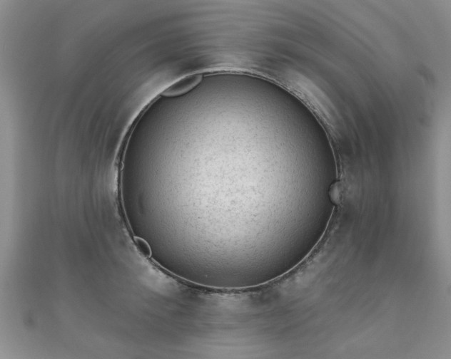 X0000110940900200906261258