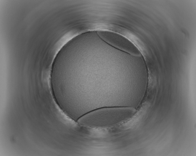 X0000110940901200906261258