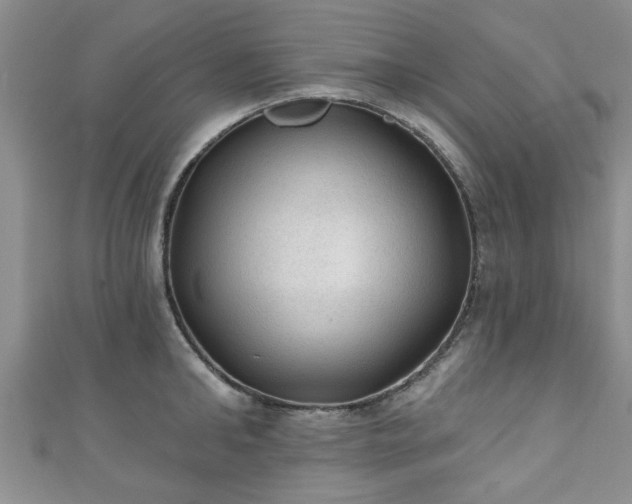 X0000110940902200906261258