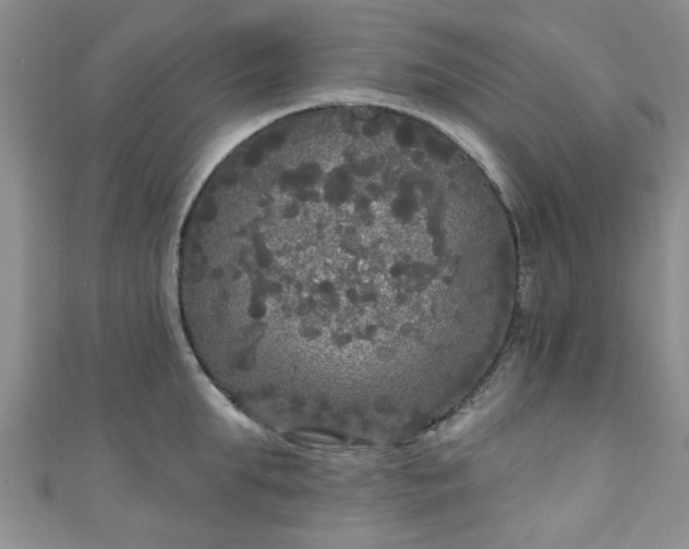 X0000110940903200906261258