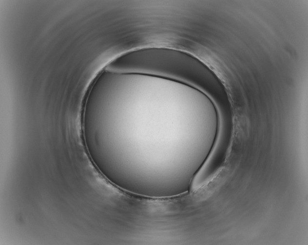 X0000110940904200906261258