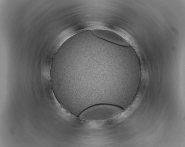 X0000110940905200906261258