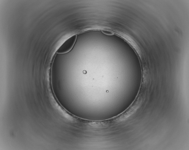 X0000110940906200906261258