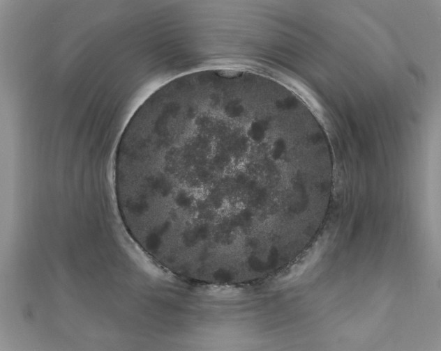 X0000110940907200906261258