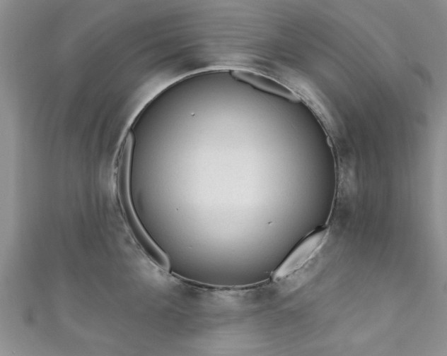 X0000110940908200906261258