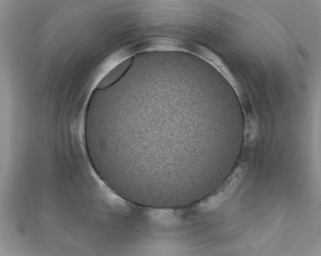 X0000110940909200906261258