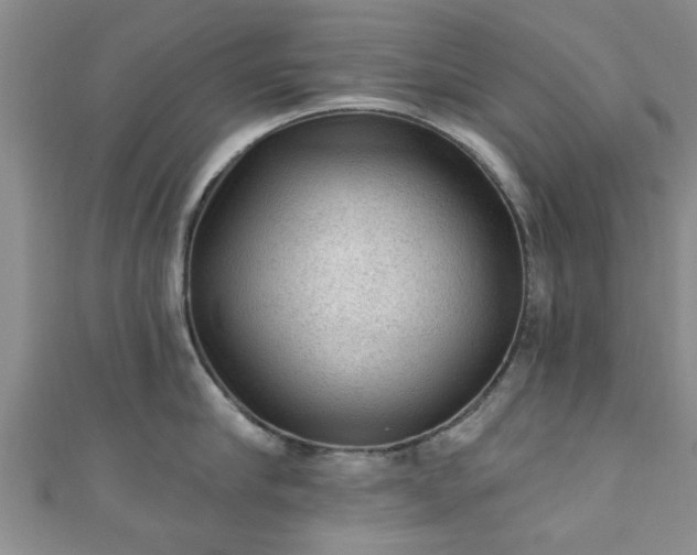 X0000110940910200906261258