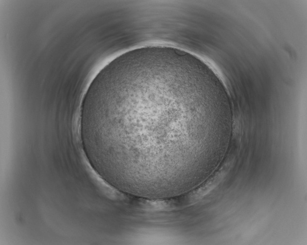 X0000110940911200906261258