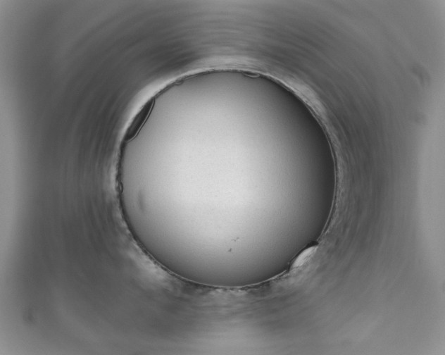 X0000110940912200906261258