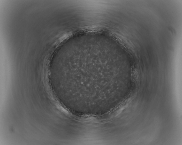 X0000110940913200906261257