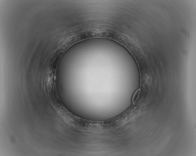 X0000110940914200906261257