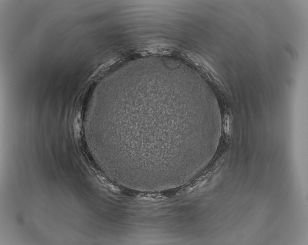 X0000110940915200906261257