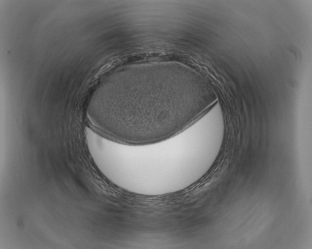 X0000110940916200906261257