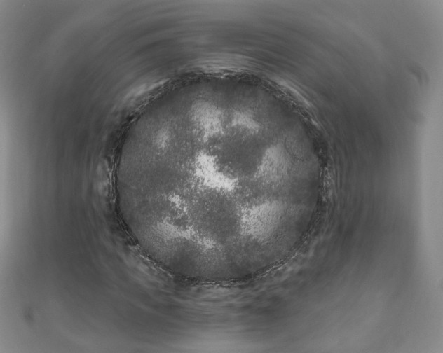 X0000110940917200906261257