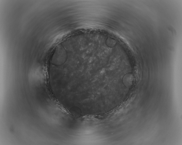 X0000110940918200906261257