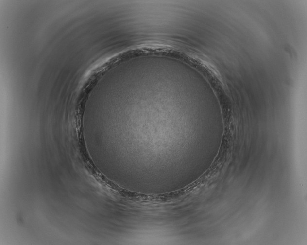 X0000110940920200906261257