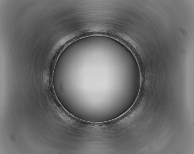 X0000110940922200906261257