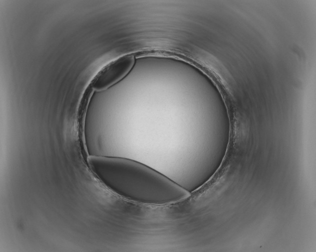 X0000110940924200906261257