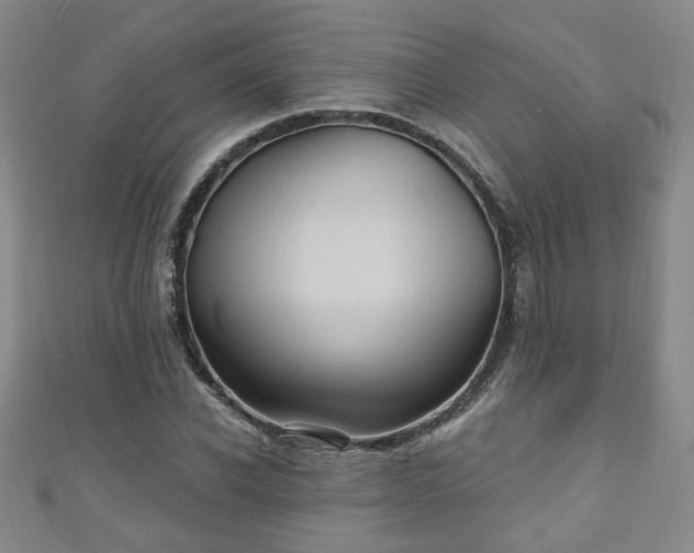 X0000110940926200906261257