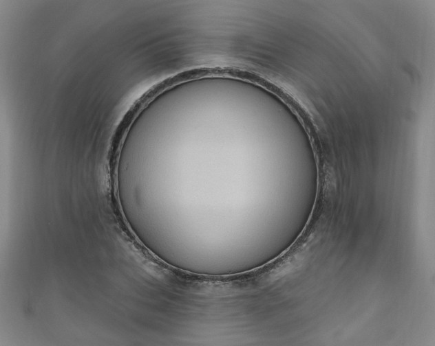 X0000110940927200906261257