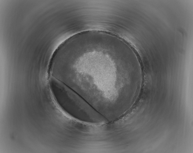 X0000110940928200906261257