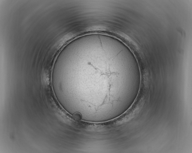 X0000110940929200906261257