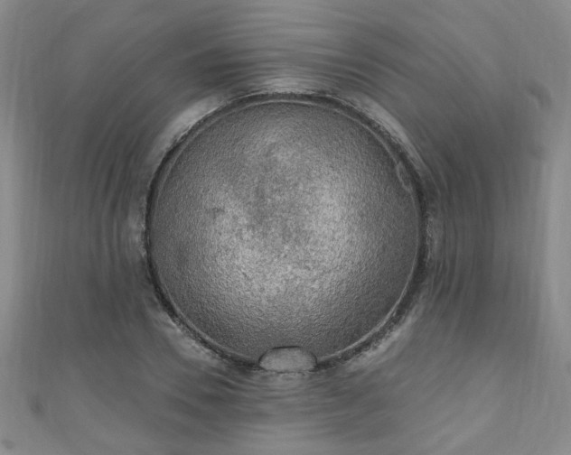 X0000110940930200906261257