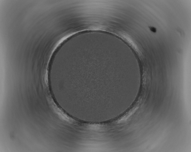 X0000110940932200906261257