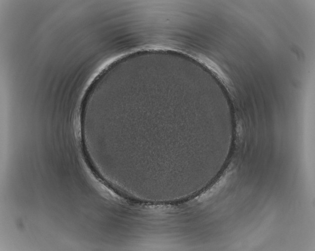 X0000110940934200906261257