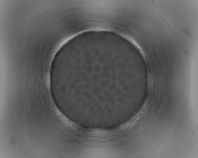 X0000110940935200906261258