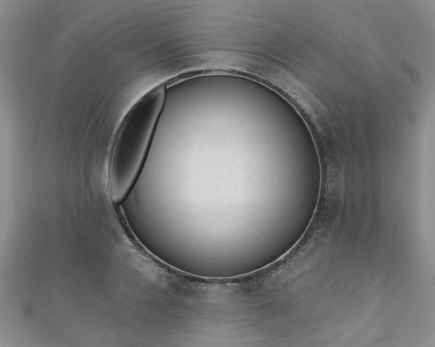 X0000110940936200906261258