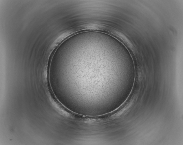 X0000110940938200906261258