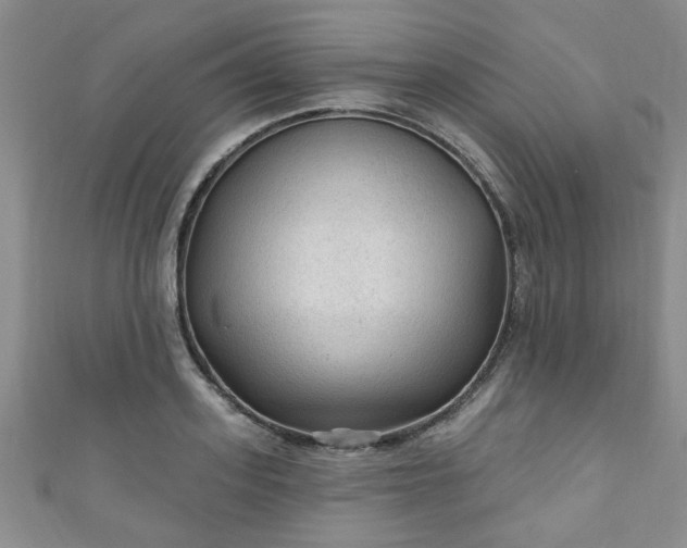 X0000110940939200906261258