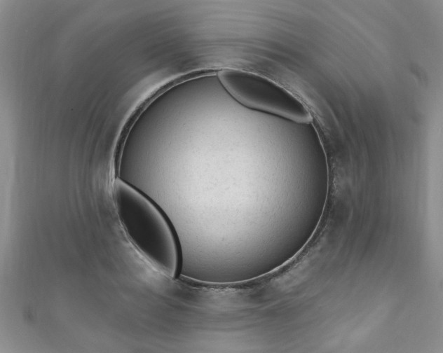 X0000110940940200906261258