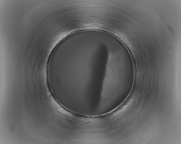 X0000110940941200906261258